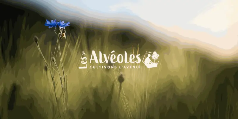 L'Atelier des Alvéoles — Bureau d'étude paysages régénératifs