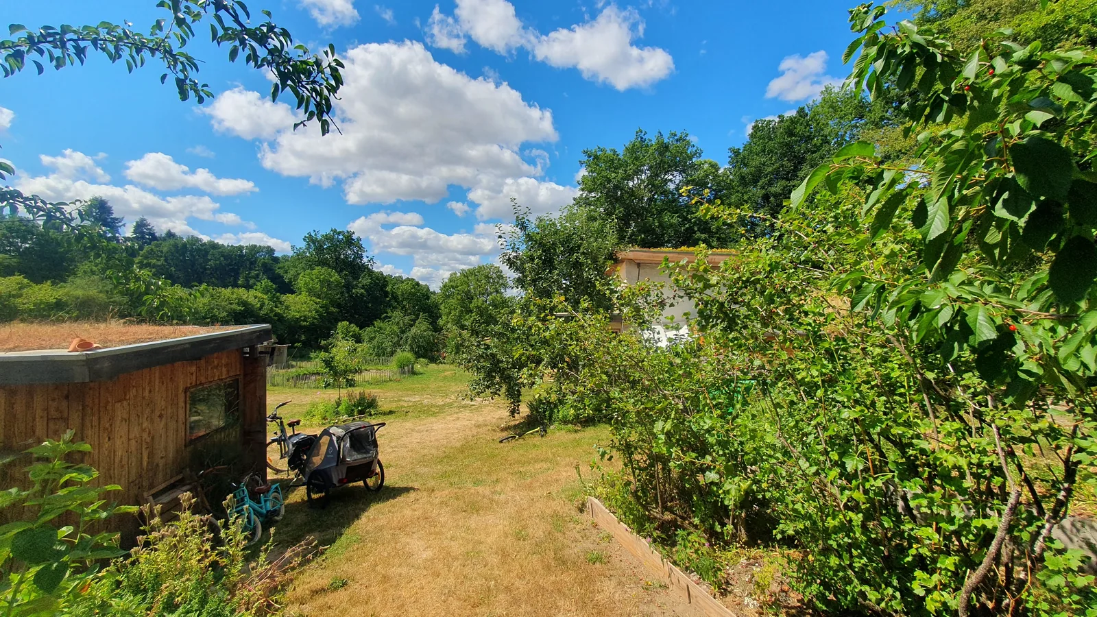 L'atelier en bois à toit végétal, au bord du verger et de la prairie