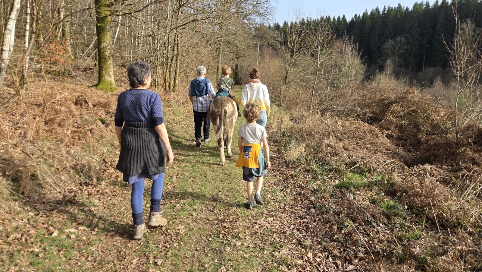 Famille en balade sur un sentier herbeux en lisière de forêt, enfant monté sur un âne